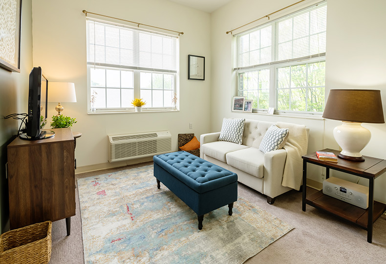 A fully furnished living room.