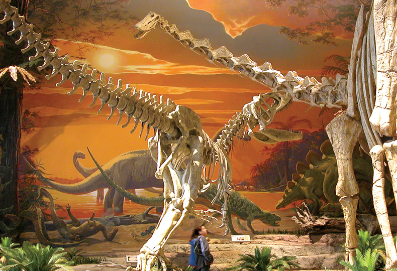 New Mexico Museum of Natural History.