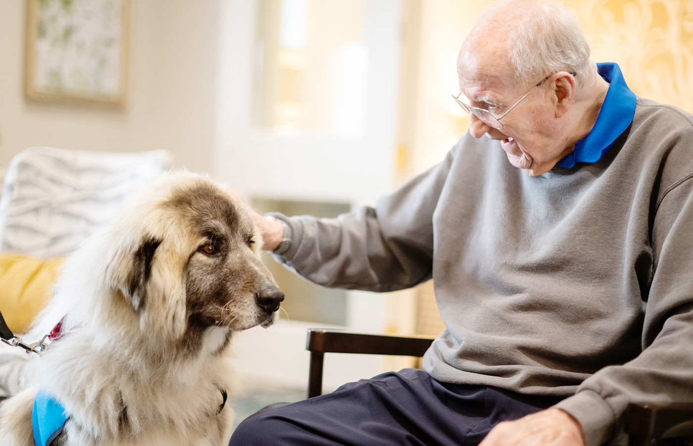 A person petting a dog.