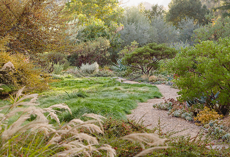 A beautiful California Botanical garden.