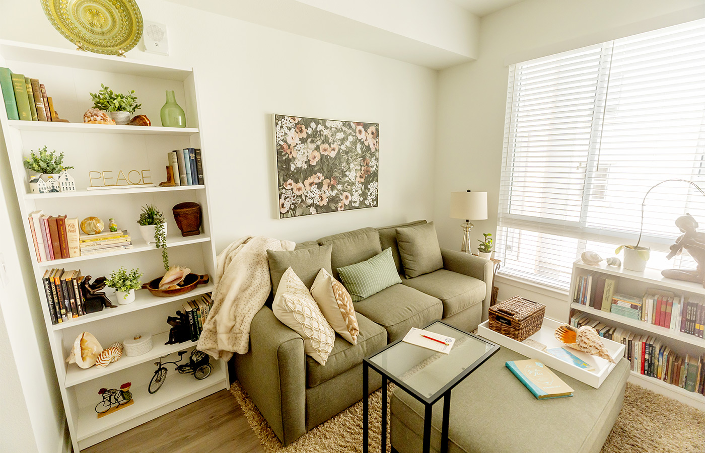 A fully furnished living room.