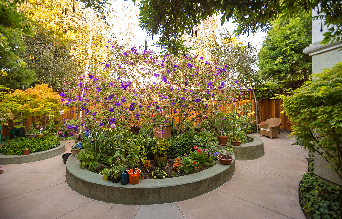 luscious garden with sidewalk pathways