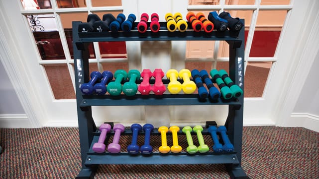 Assorted weights on shelves.