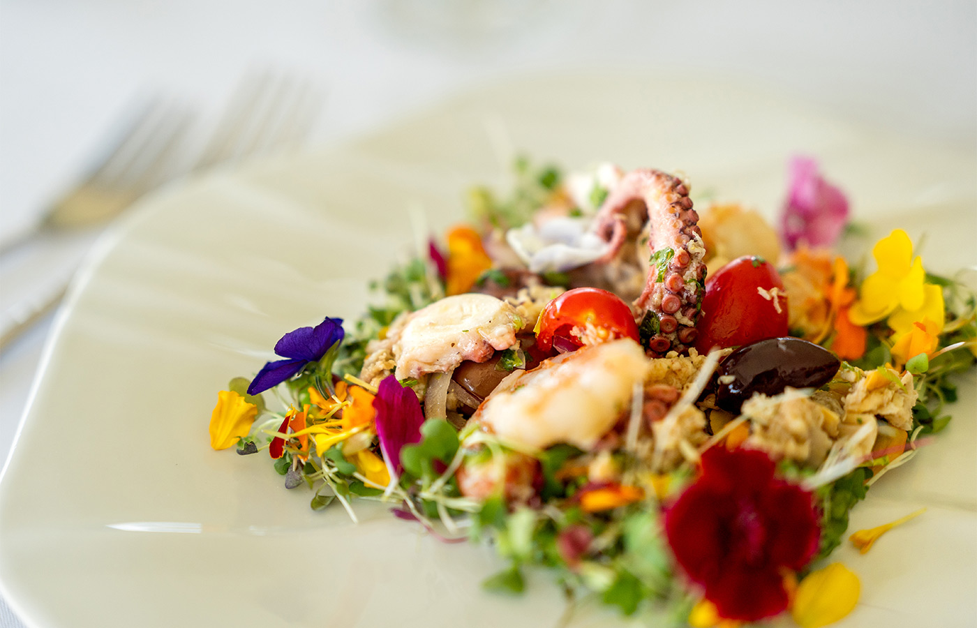 A seafood salad on a plate.