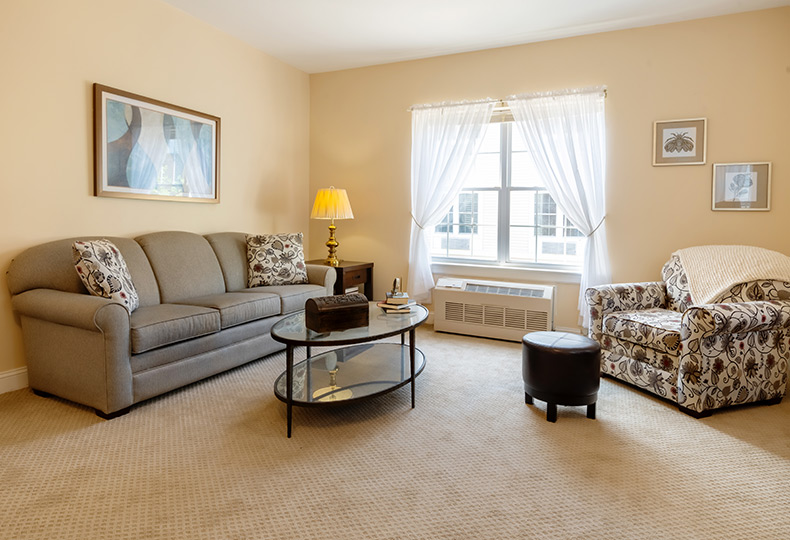 A fully furnished living room.