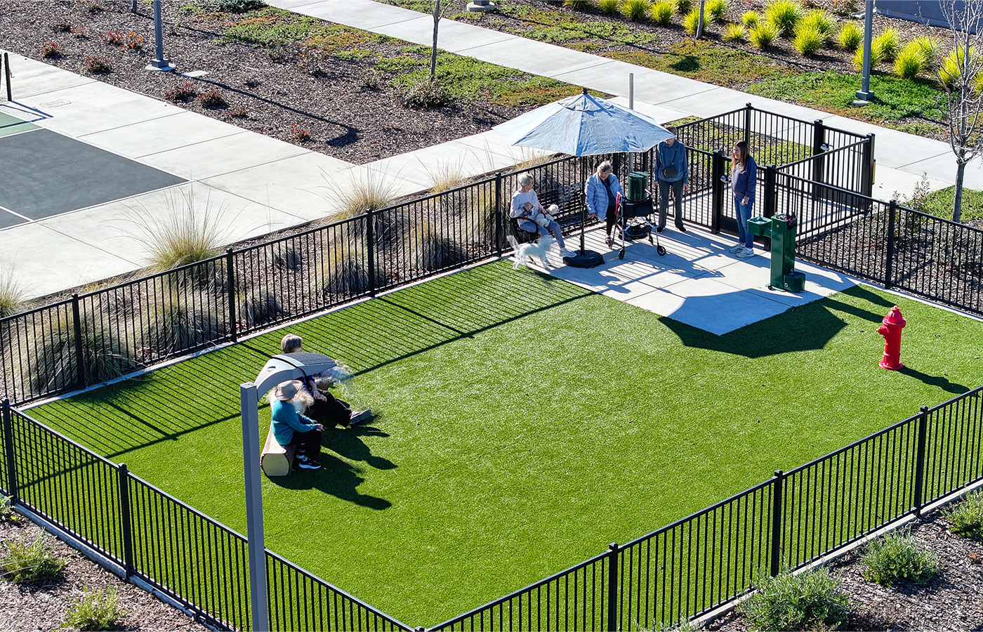 A dog park.