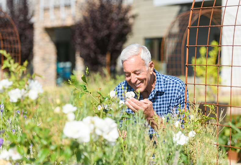 A person smelling a flower in the garden.