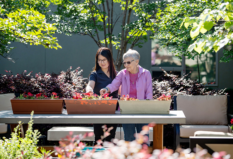 A naya with a resident in the garden.