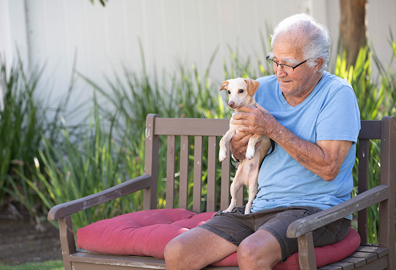 A person sitting on a bench holding their dog.