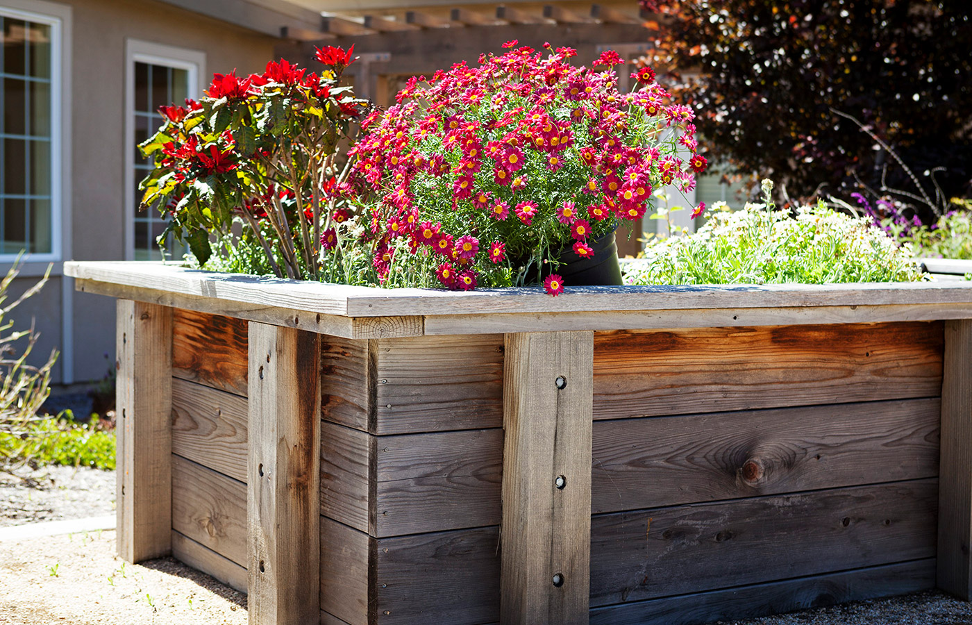 A garden at The Cottages of Carmel.