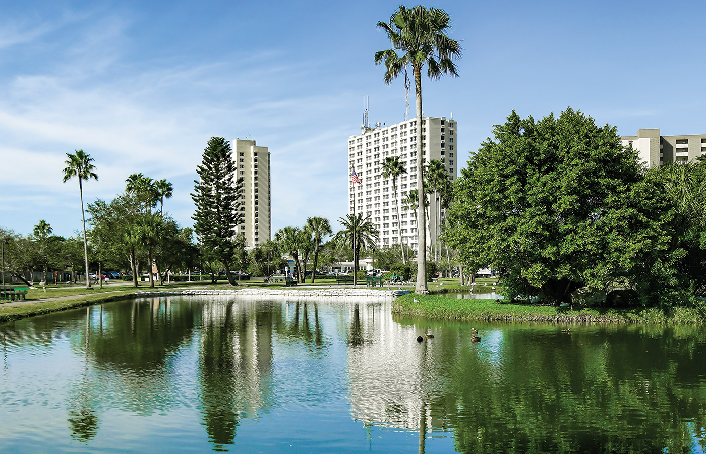 View of the pond with palm tree and building in the background
