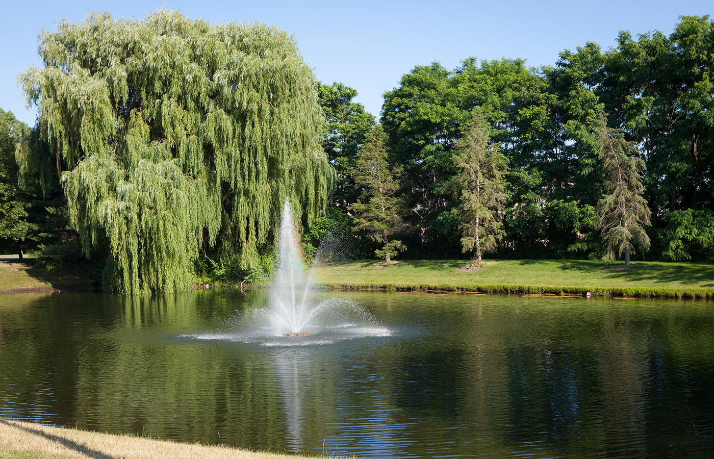 Image of the pond and its fountain surrounded by trees