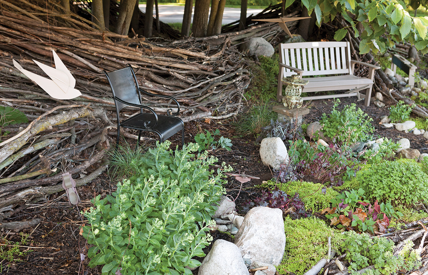 A garden.