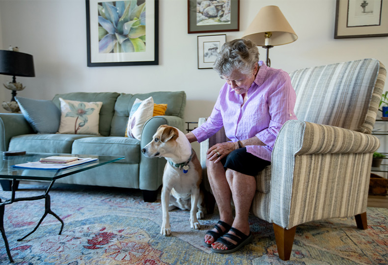 A person with their dog in their apartment.
