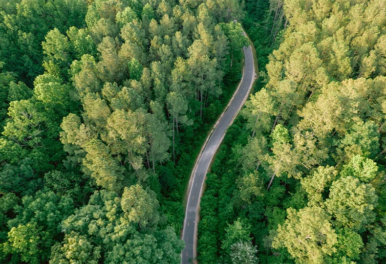 An aerial shot of a road winding through a lush forest.
