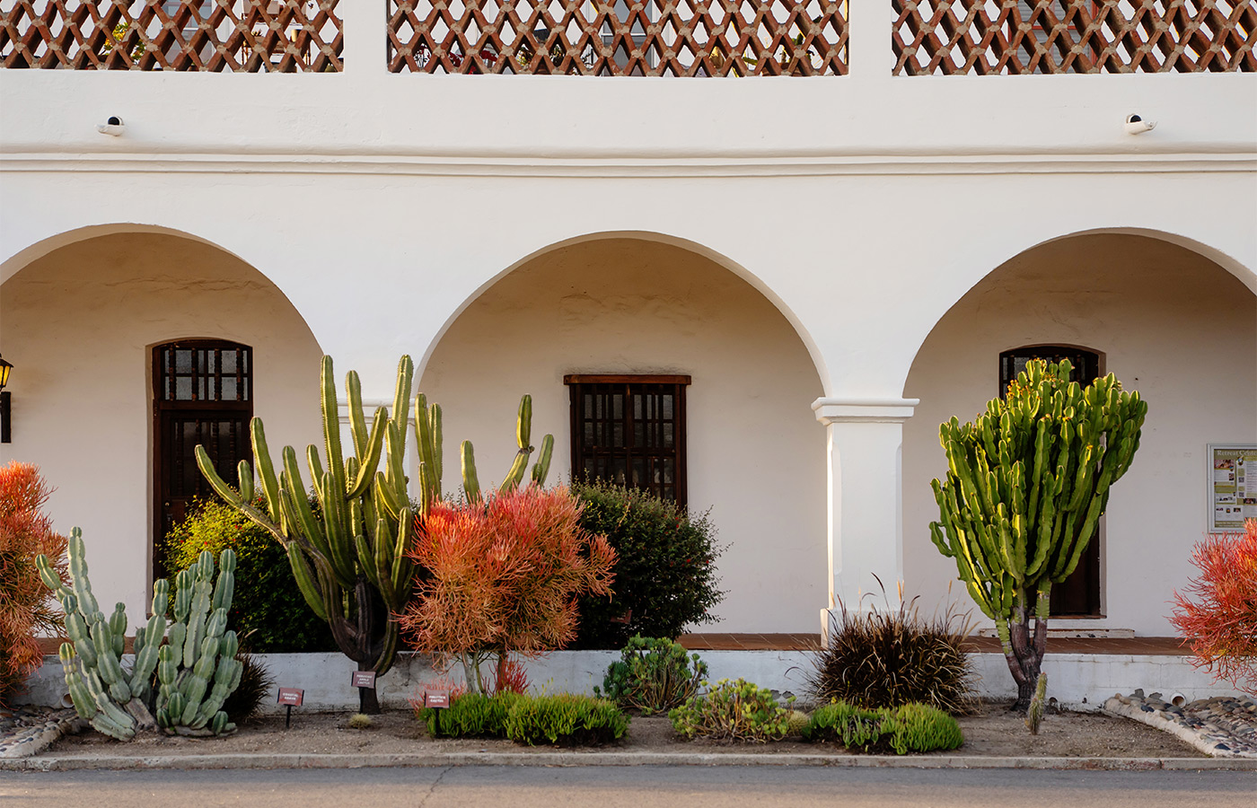 Arches outside with desert gardening.