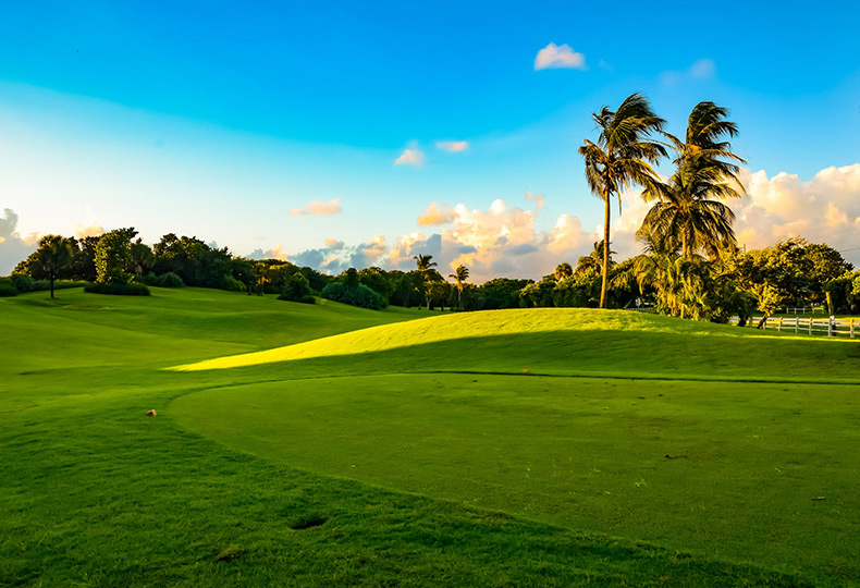 A golf course with palm trees.
