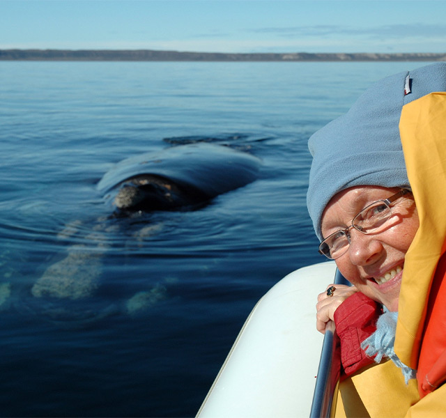 A person on a boat with a whale in the water near by.