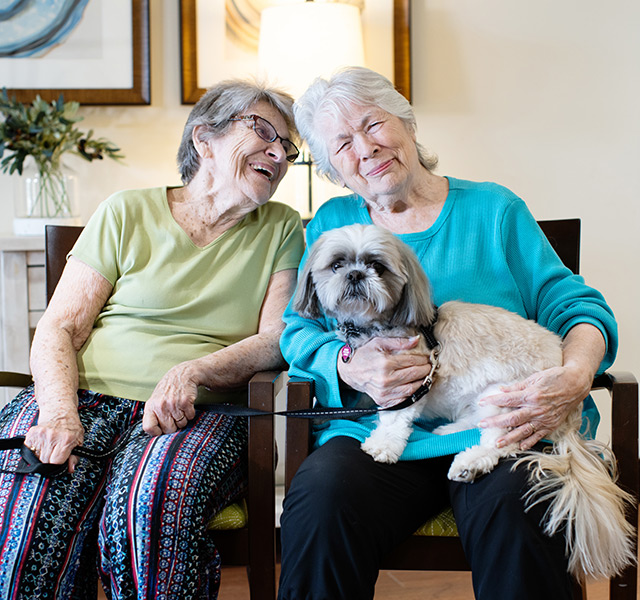 Two friends on the couch with a dog.