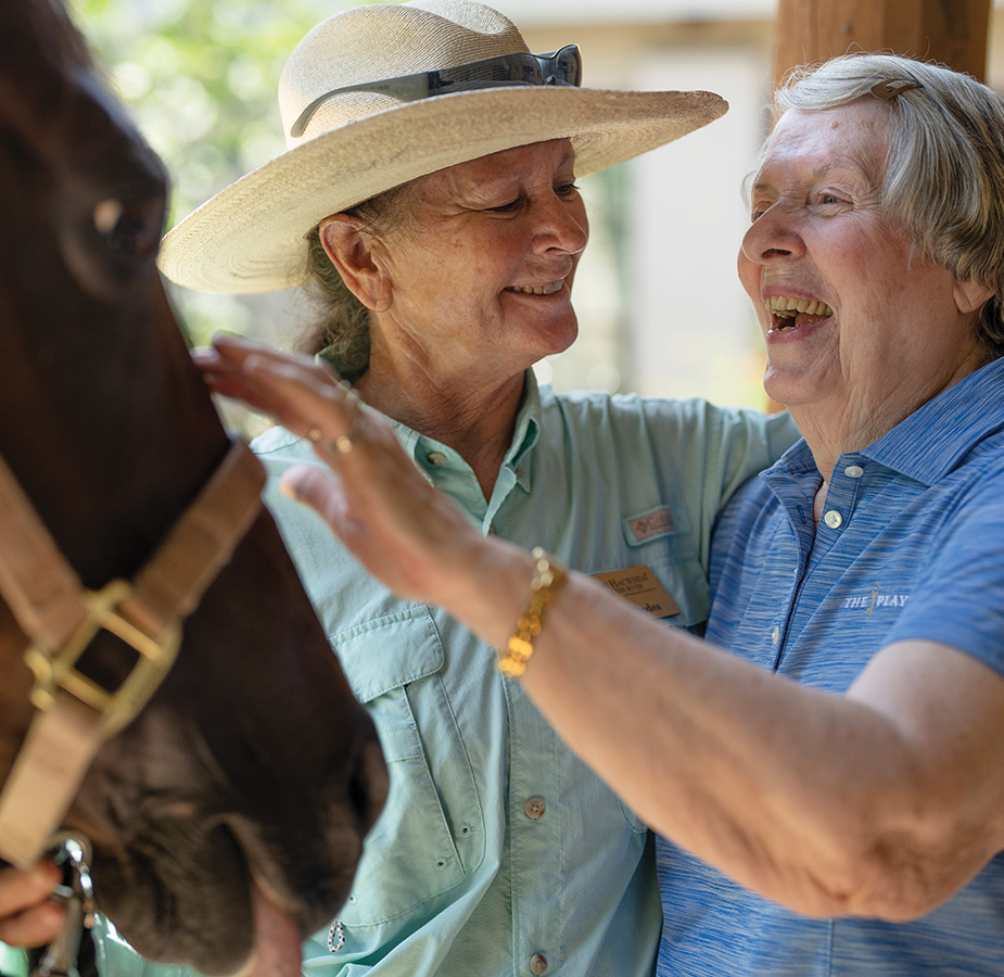 A person petting a horse.