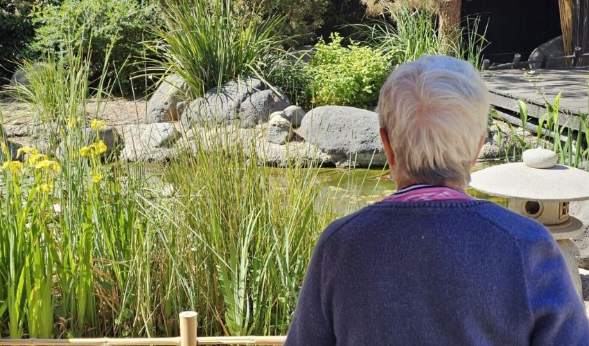 A women is looking at a garden.
