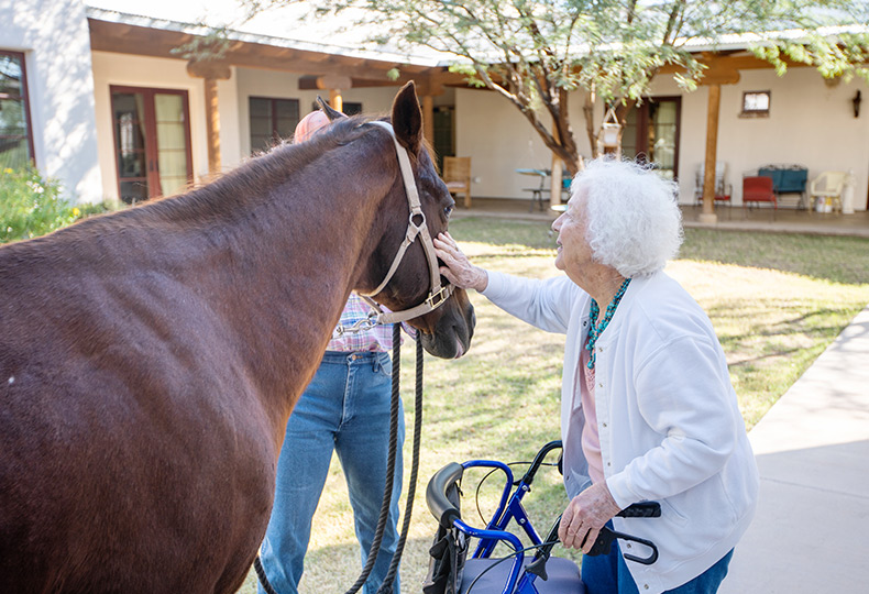 Residents with a horse.