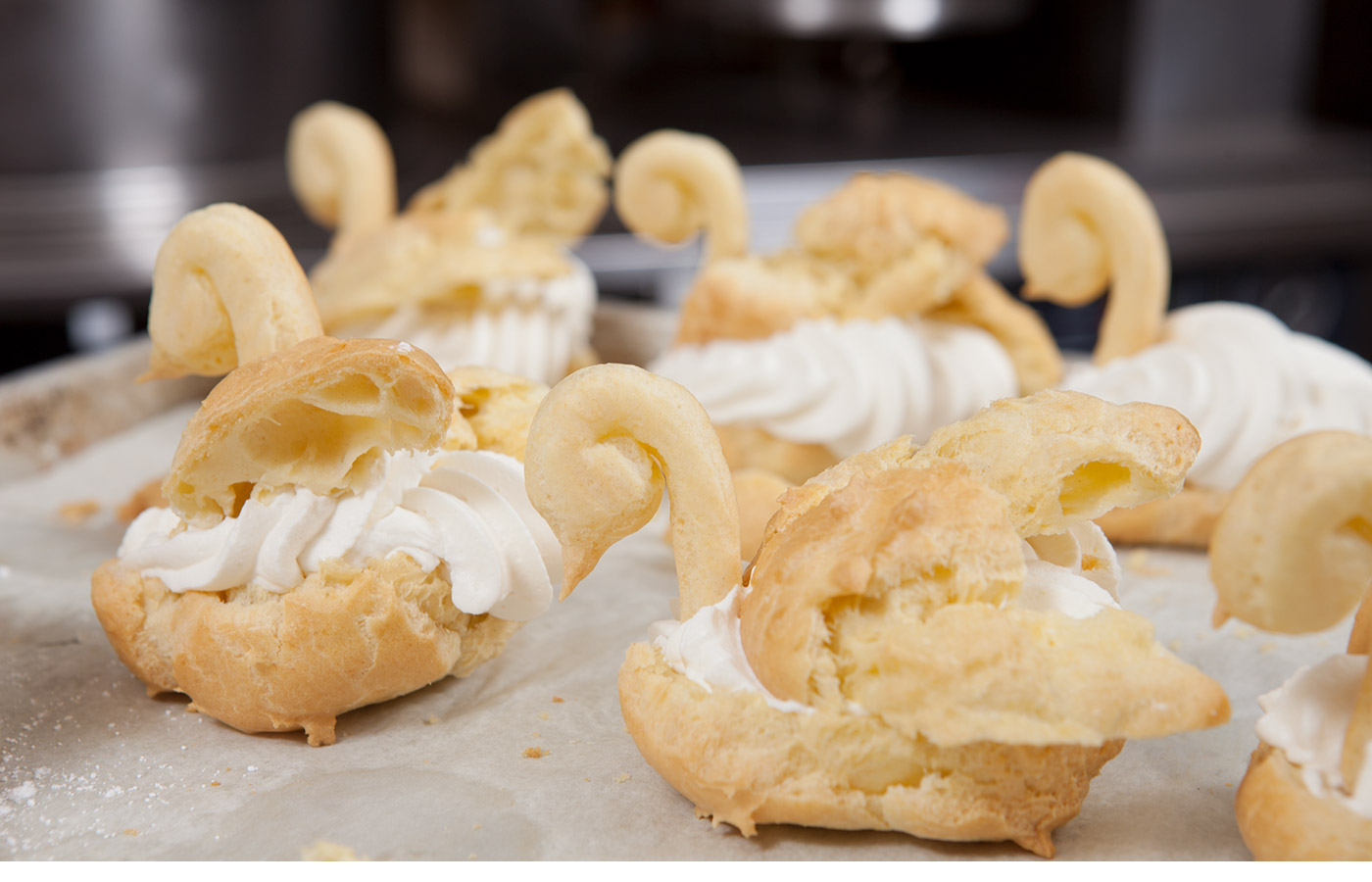 close up of swan shaped pastries with cream
