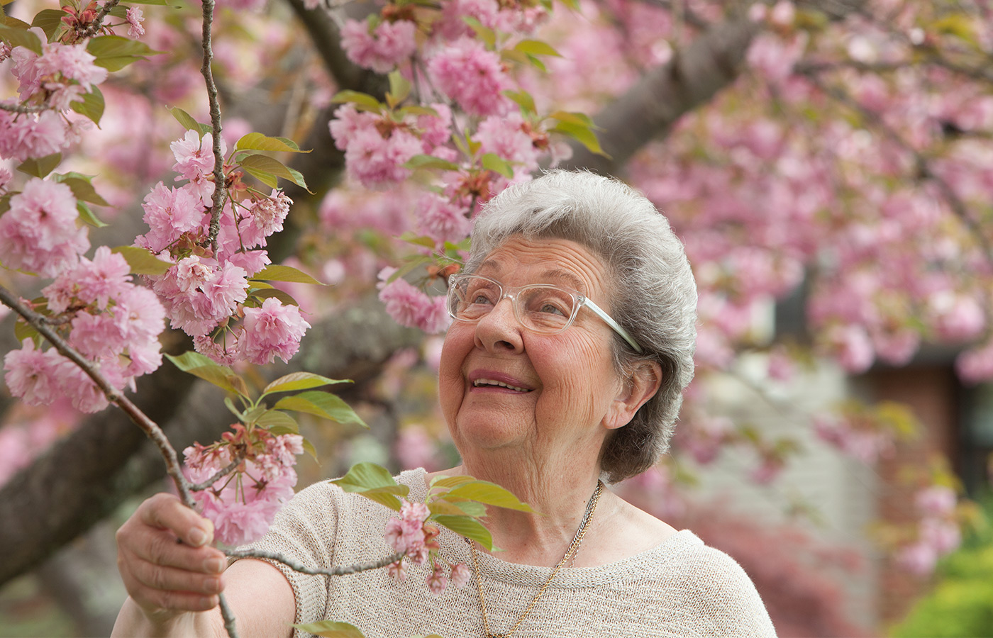 elderly woman enjoying the cherry blossoms outside