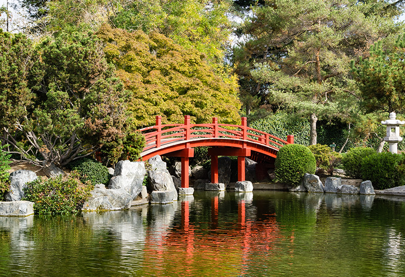 A bridge over water in a Japanese garden.