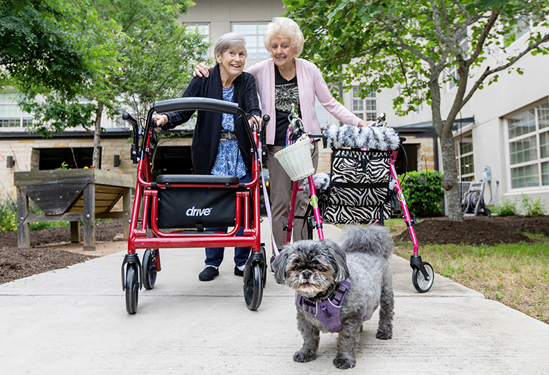 Two friends walking a dog outside.