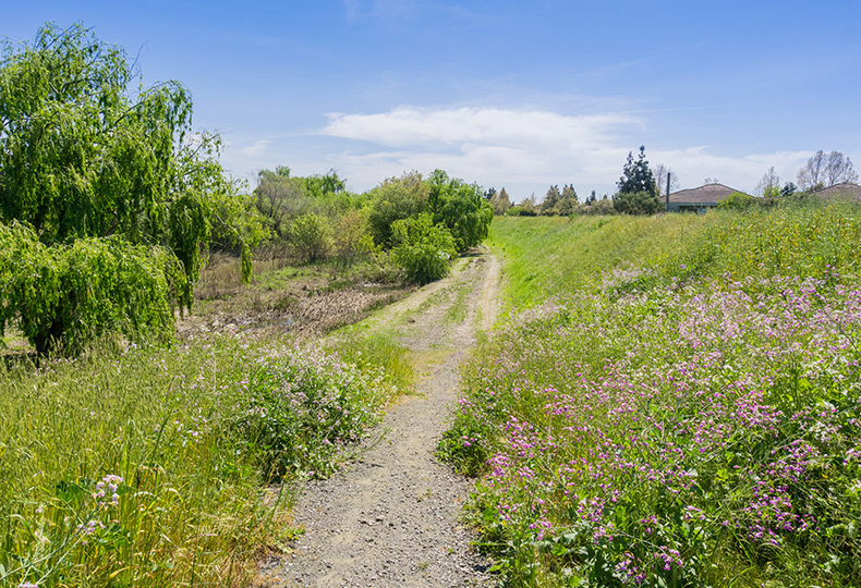 A trail along the Guadalupe river.