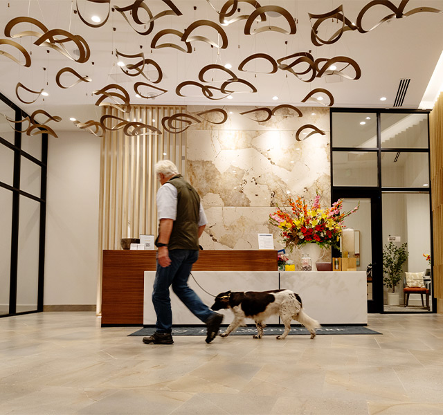 A person walking their dog in the lobby.