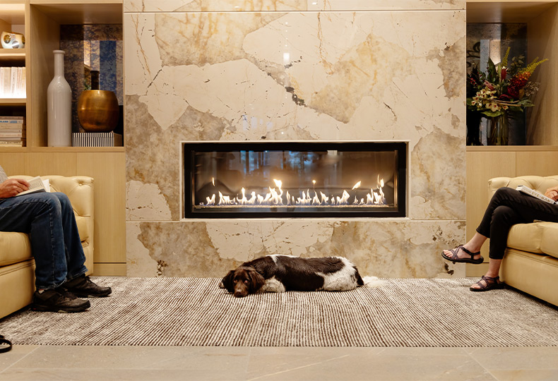 A dog laying by the fire.
