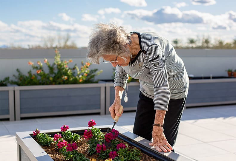 A person planting flowers on the rooftop.