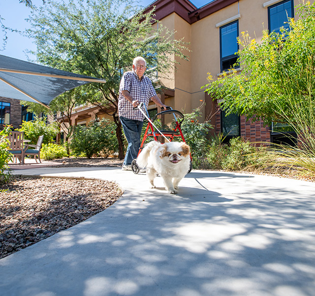 resident walking dog on sidewalk pathway