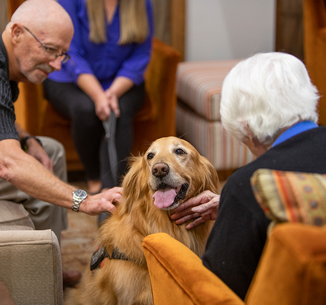 People hugging and petting a dog.
