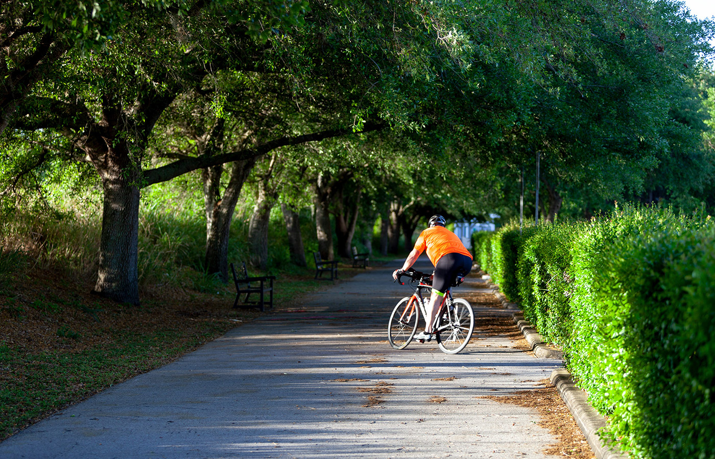 A bike rider is on a nature trail.