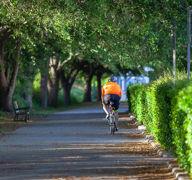 A person is riding a bike on a nature trail.