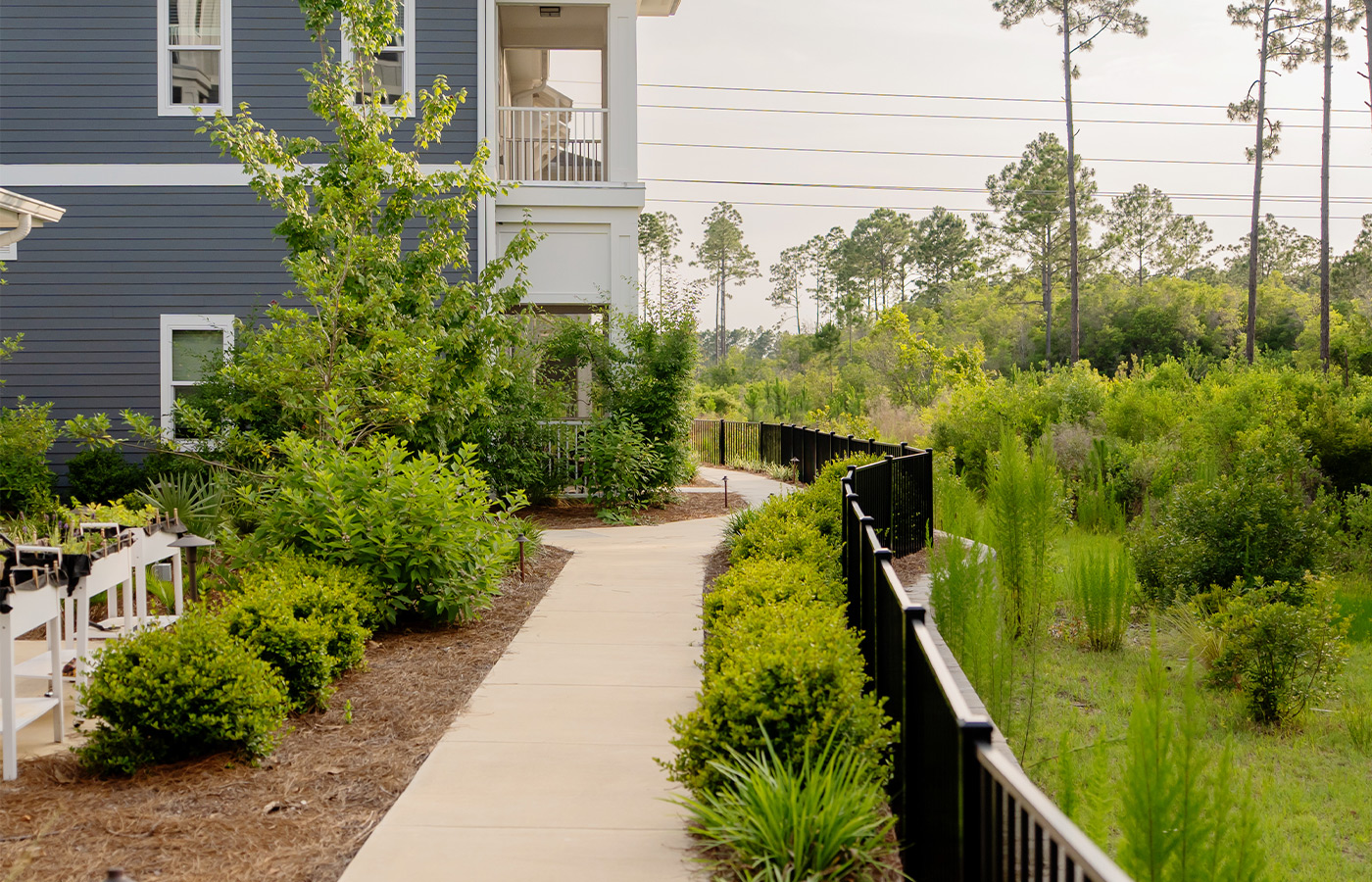 A walking path.