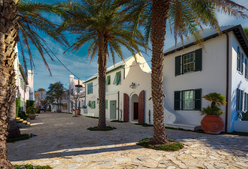 A street with buildings and palm trees.