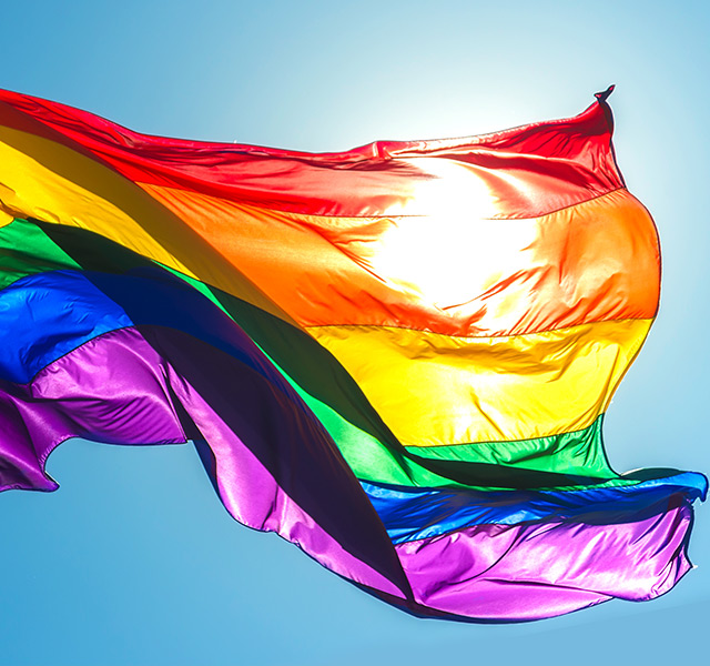 LGBTQ flag.