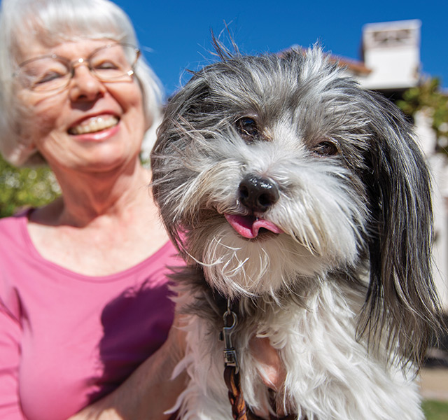 A person with their dog.