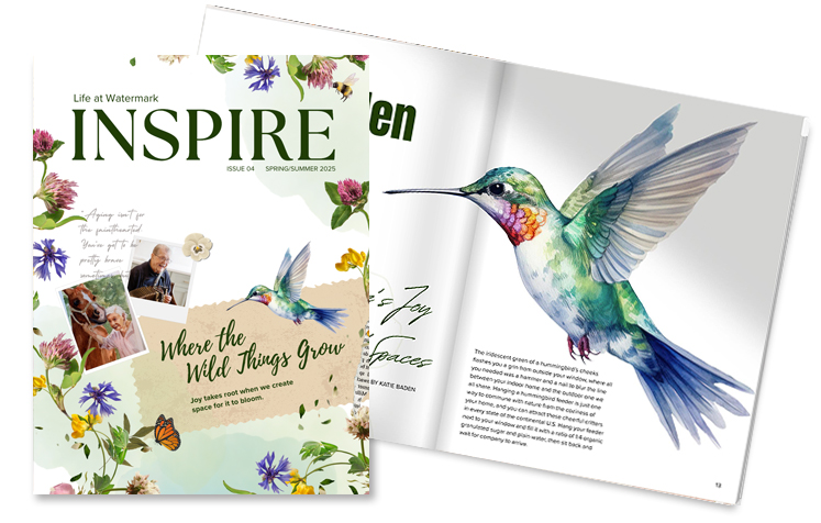 The front cover of the Inspire 4th edition digital magazine.