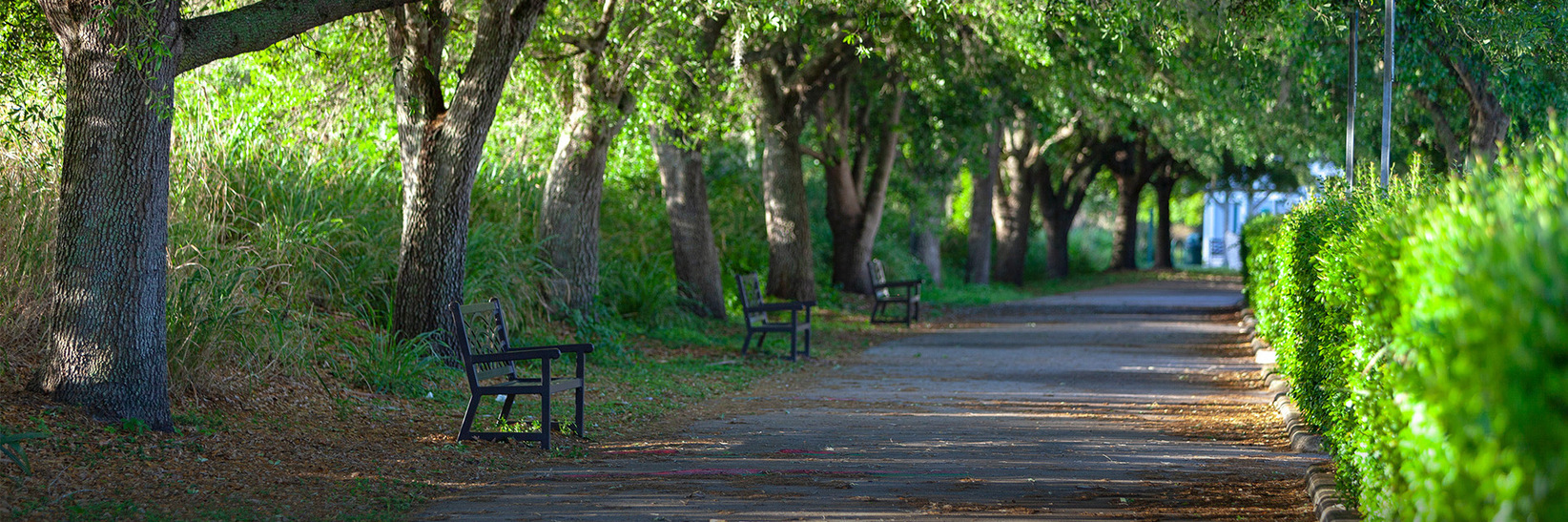 A nature trail. A nature trail.