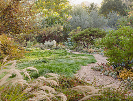 A beautiful California Botanical garden.