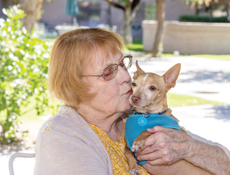 A person kissing their dog.