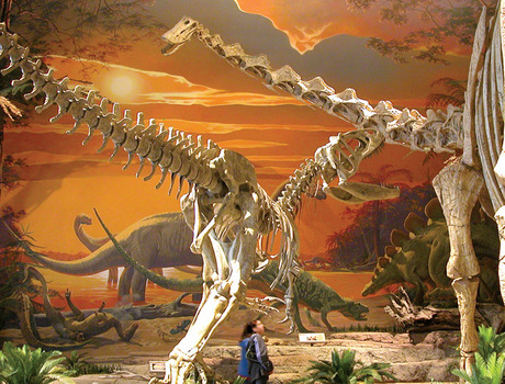 New Mexico Museum of Natural History.