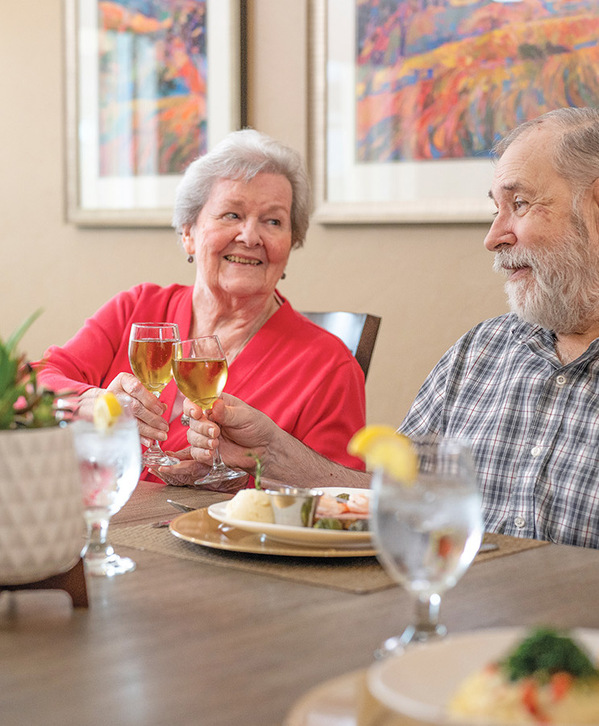 Two people having dinner.