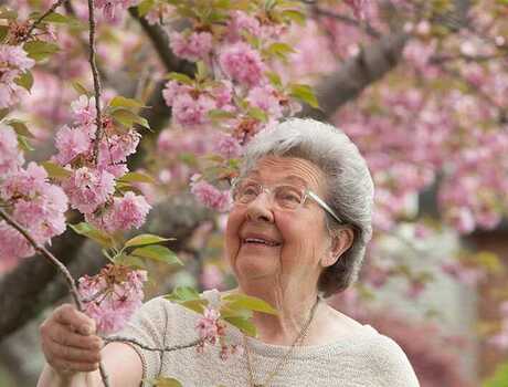 A resident stops to smells some vibrant flowers on a tree while walking past