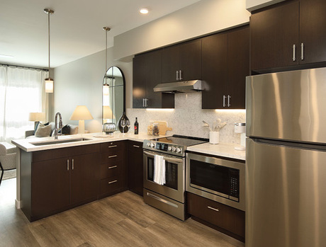 A fully furnished kitchen.